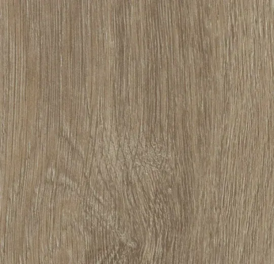 Allura Dryback Wood 60288DR7 light giant oak (180x32 cm)