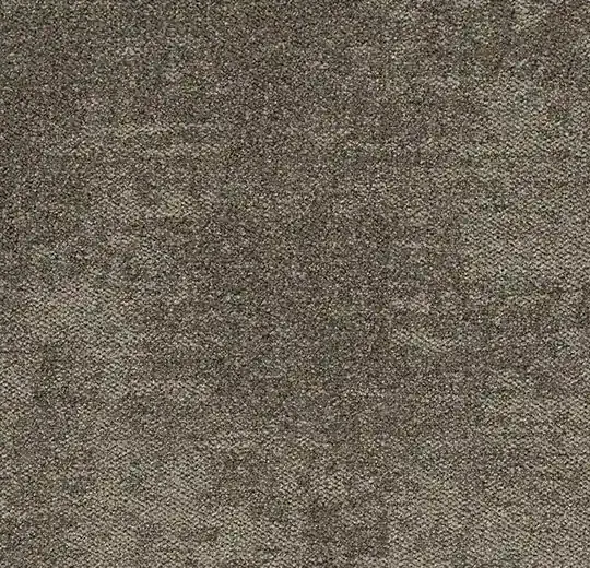 Tessera Infused 4506 coffee cream